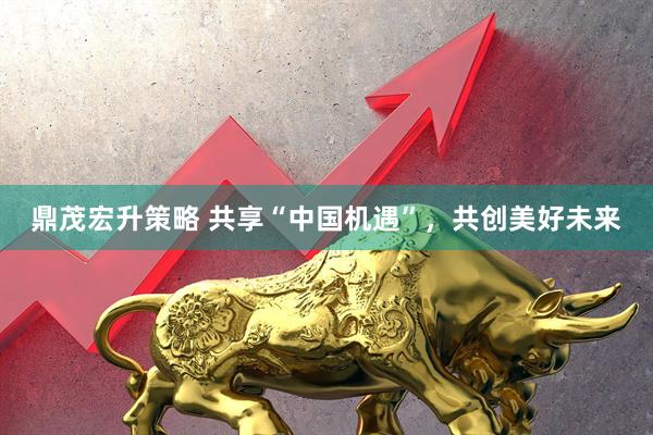 鼎茂宏升策略 共享“中国机遇”，共创美好未来