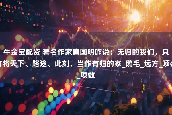 牛金宝配资 著名作家唐国明咋说：无归的我们，只有将天下、路途、此刻，当作有归的家_鹅毛_远方_项数