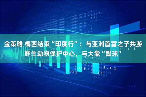 金策略 梅西结束“印度行”：与亚洲首富之子共游野生动物保护中心，与大象“踢球”