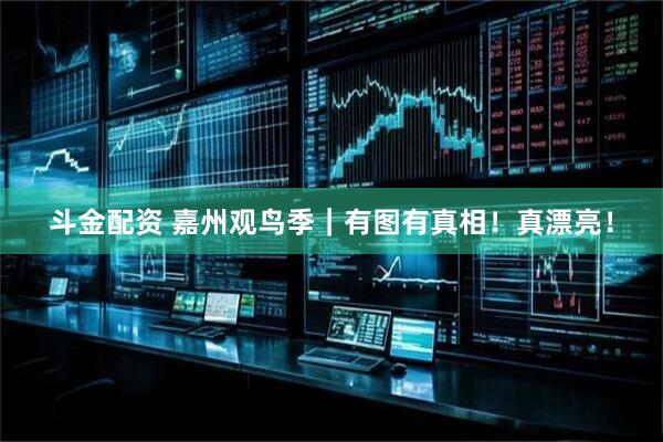 斗金配资 嘉州观鸟季｜有图有真相！真漂亮！